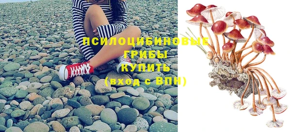 спайс Аркадак