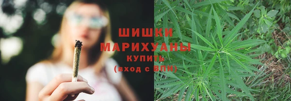 спайс Аркадак